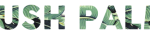 lushpalm_logo-no-background-e1491842371561
